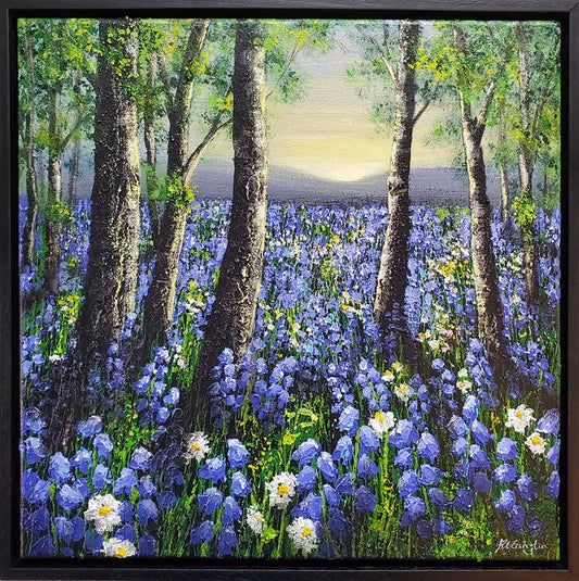 Bluebell Fields