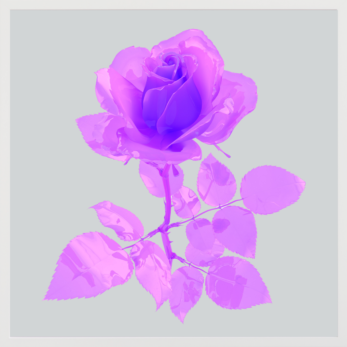 Pink Rose, 2021, Edition 1/5, 2 A.Ps