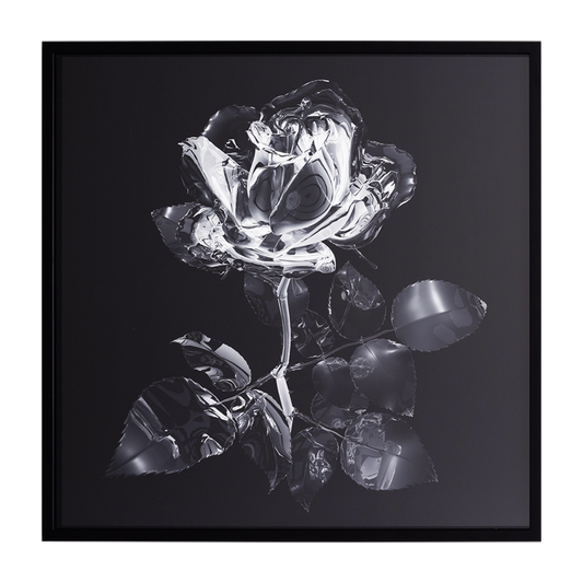 Glass Rose, 2024, Edition 1/5, 2 A.Ps