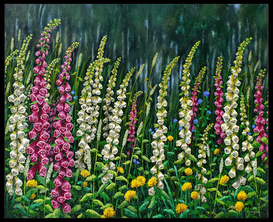 Wild Foxgloves