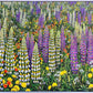 Lupins Twizel