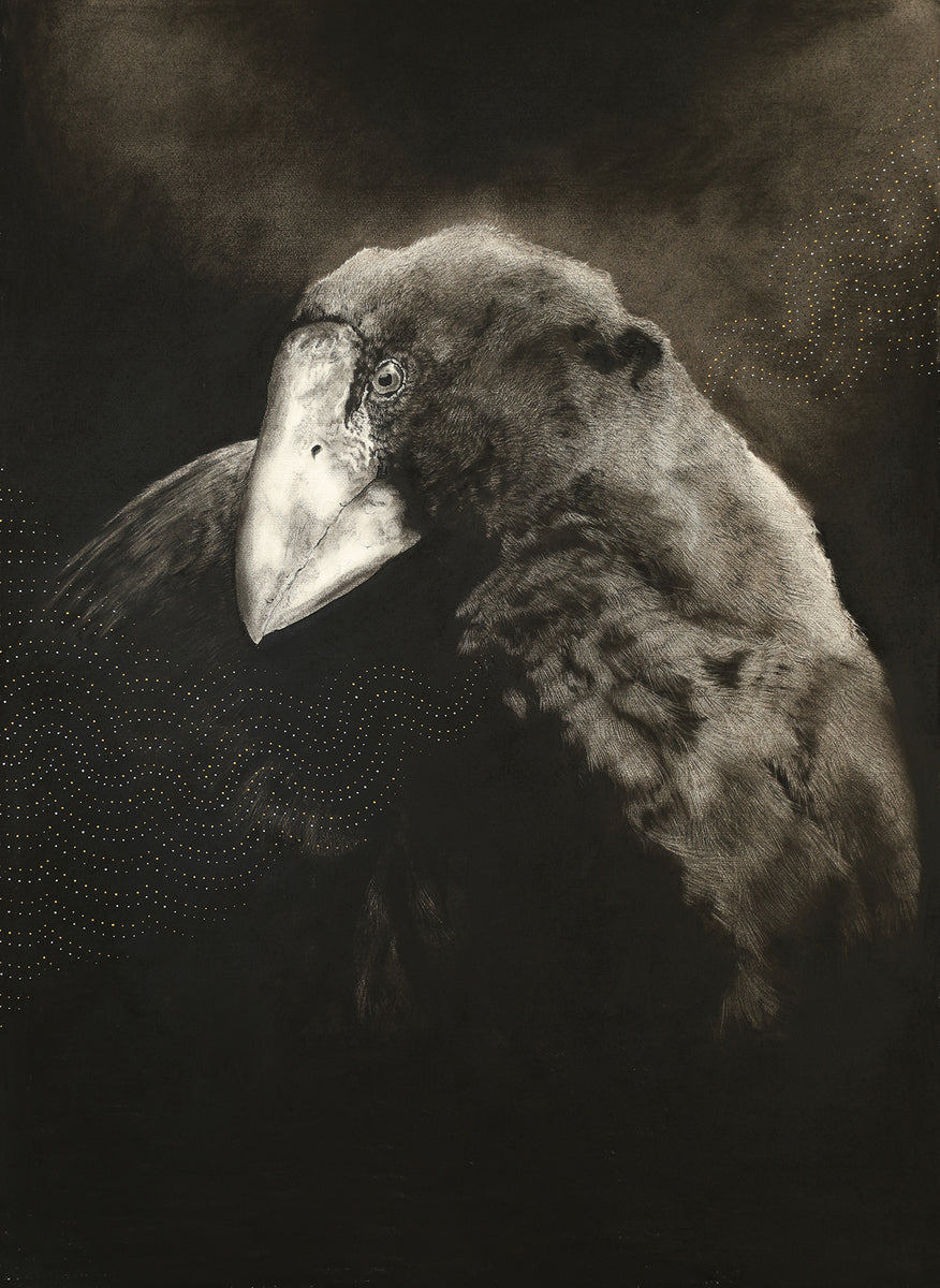 Takahē - The Hermit