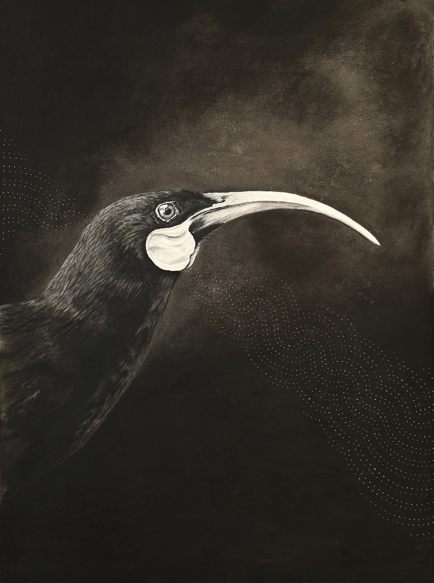 Huia