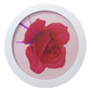 Red Rose Blush, Glass, 2023, Edition 1/10, 2 A.Ps